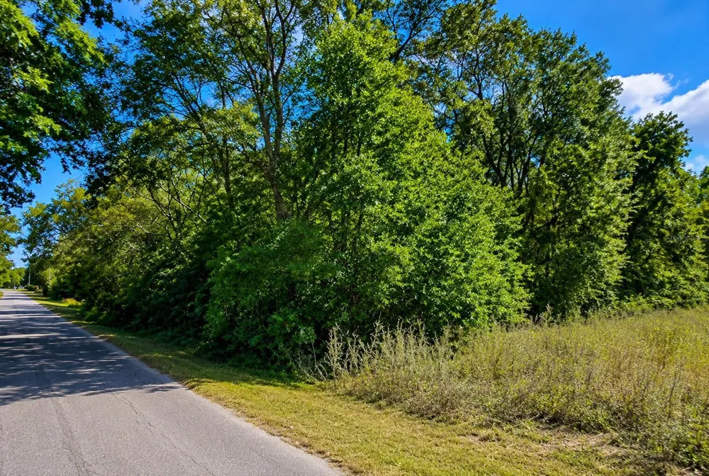 FISHER LN CT Ocklawaha, FL 32179