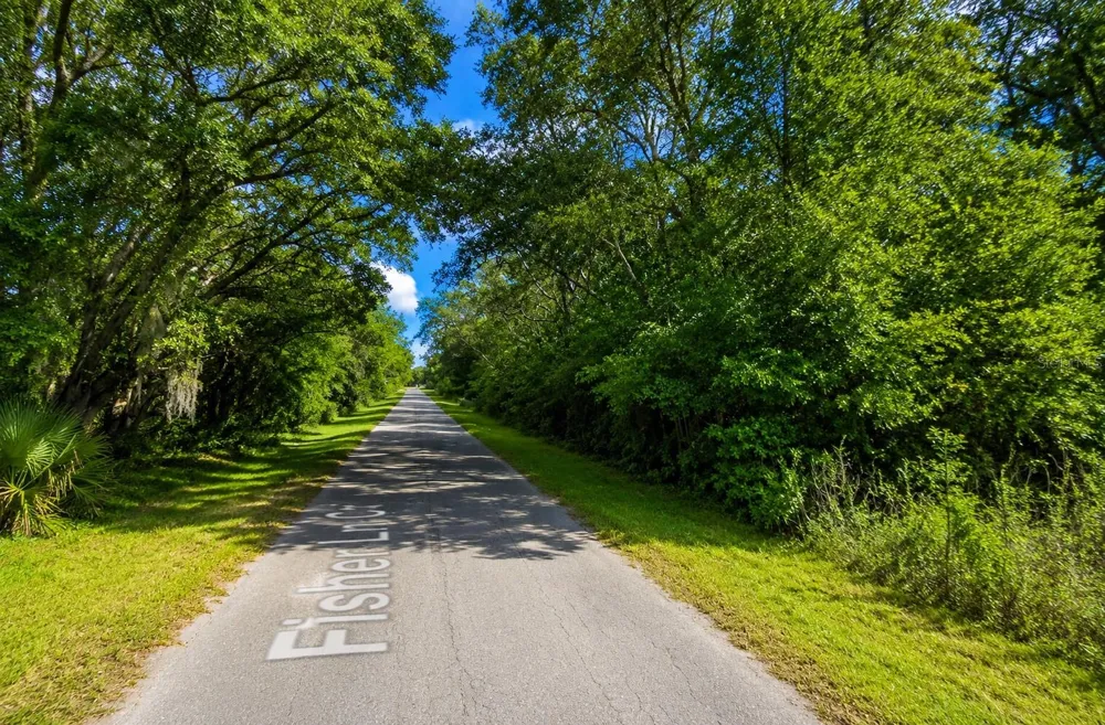 FISHER LN CT Ocklawaha, FL 32179