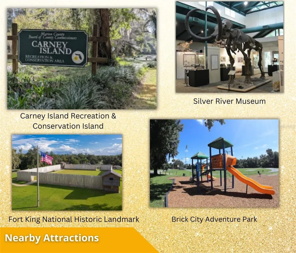 FISHER LN CT Ocklawaha, FL 32179