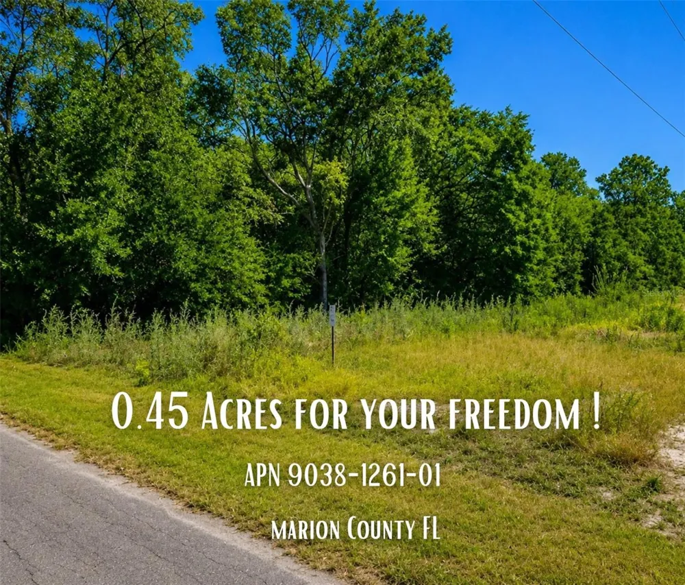 FISHER LN CT Ocklawaha, FL 32179