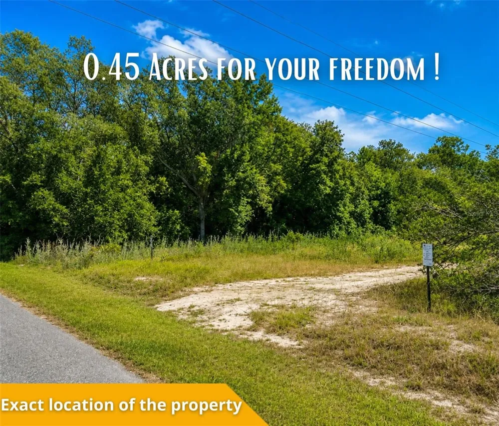 FISHER LN CT Ocklawaha, FL 32179