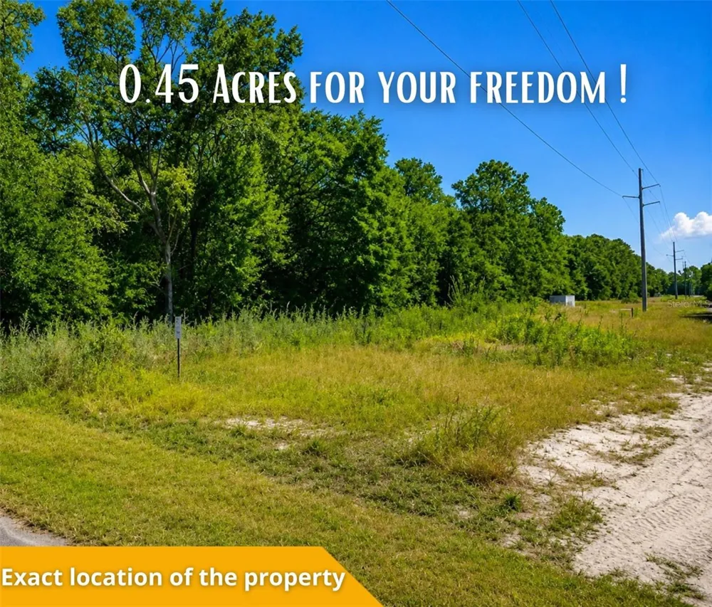 FISHER LN CT Ocklawaha, FL 32179