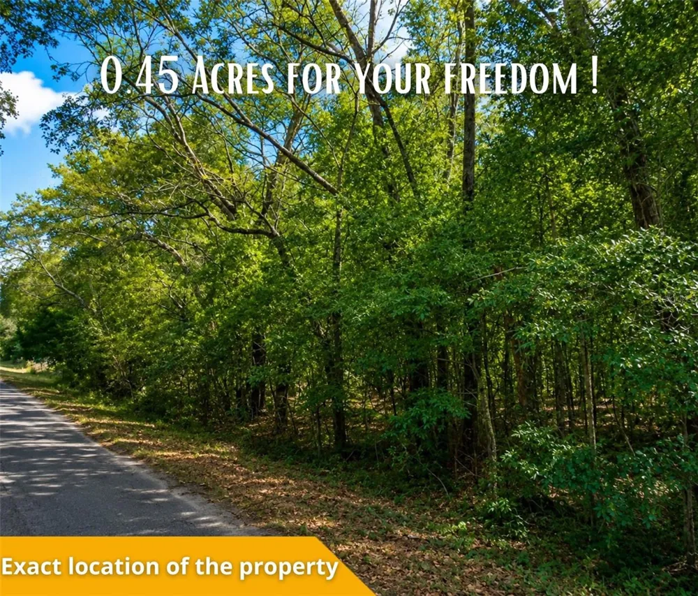 FISHER LN CT Ocklawaha, FL 32179