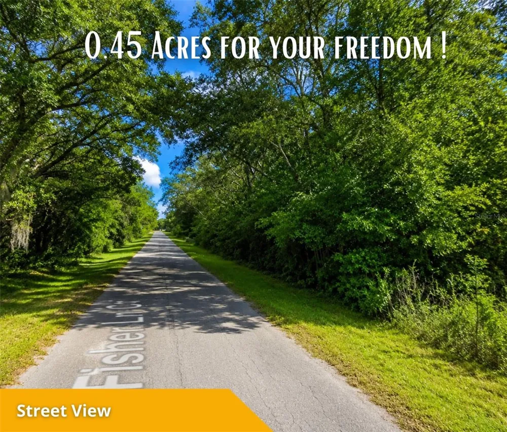 FISHER LN CT Ocklawaha, FL 32179