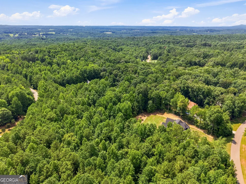 187 Trilium TRL Pendergrass, GA 30567