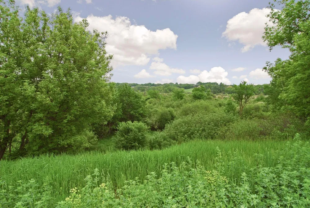 180 Cascade Court Chanhassen, MN 55317