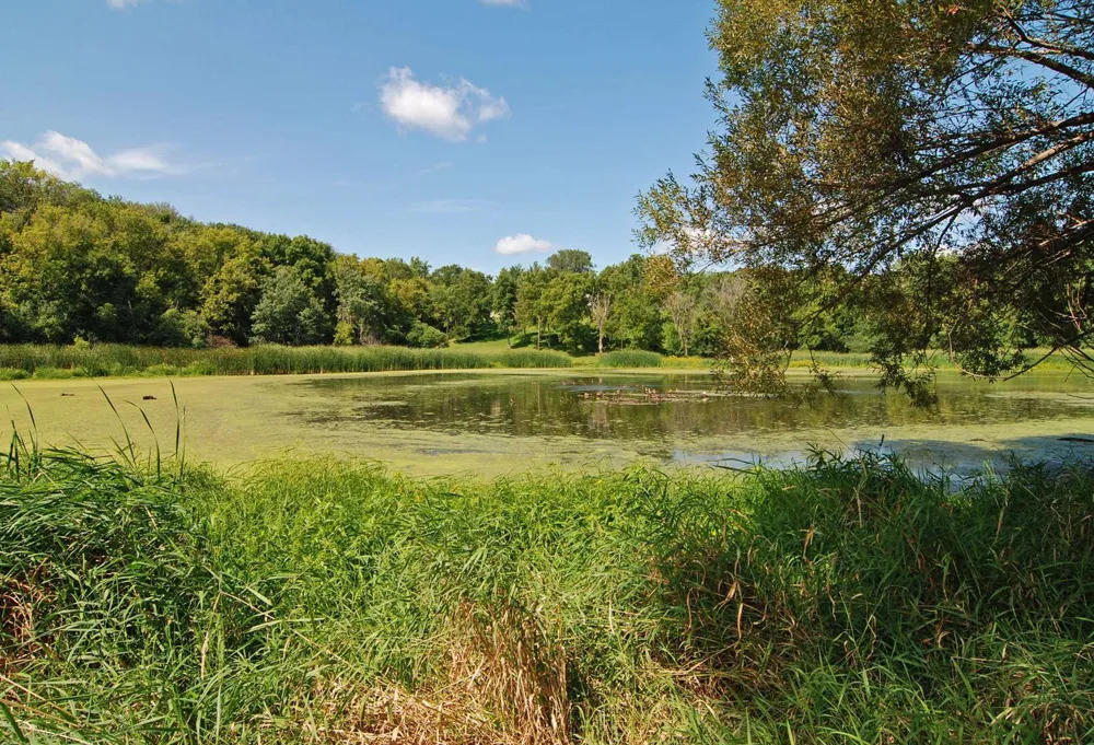 180 Cascade Court Chanhassen, MN 55317