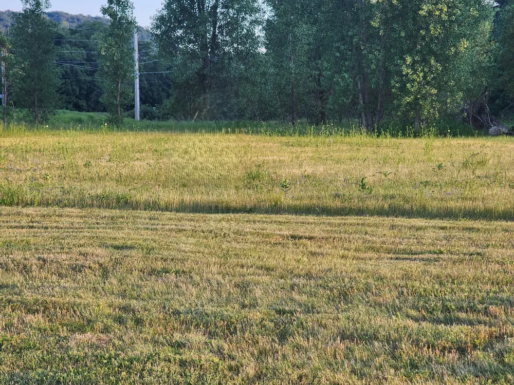205 Inverness Drive Lake City, MN 55041