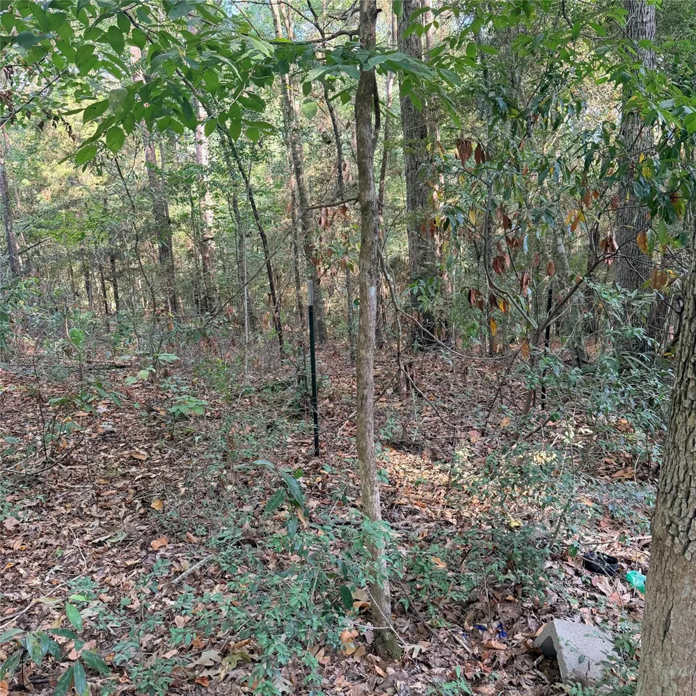 476 E Slumberlane Drive Livingston, TX 77351