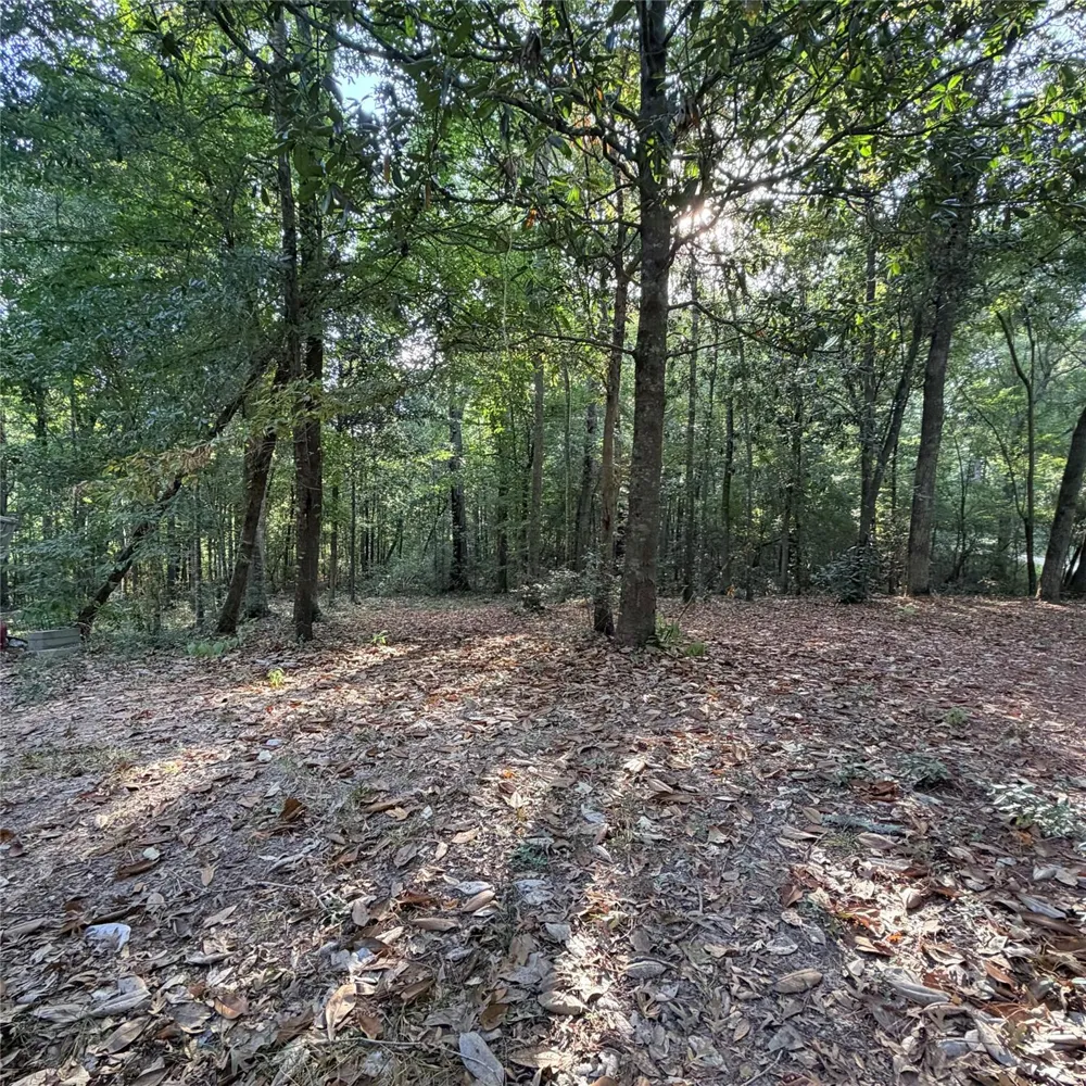 476 E Slumberlane Drive Livingston, TX 77351