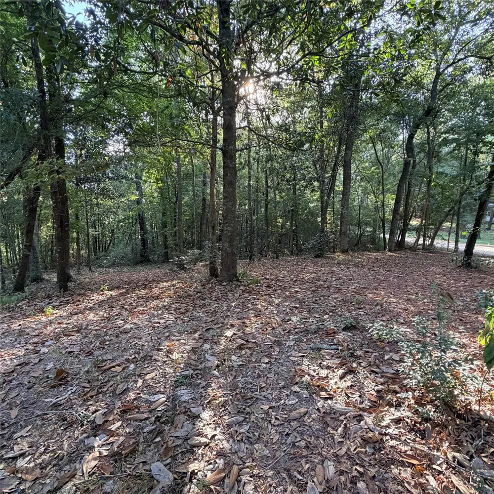 476 E Slumberlane Drive Livingston, TX 77351