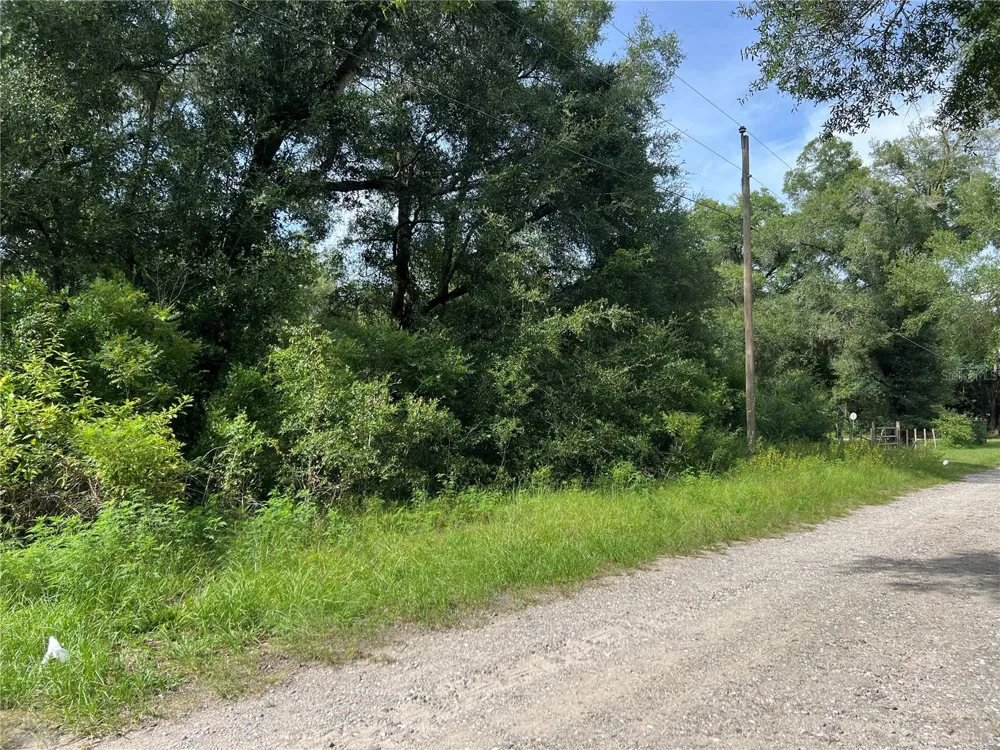 3677 E YANDLE PLACE Inverness, FL 34453