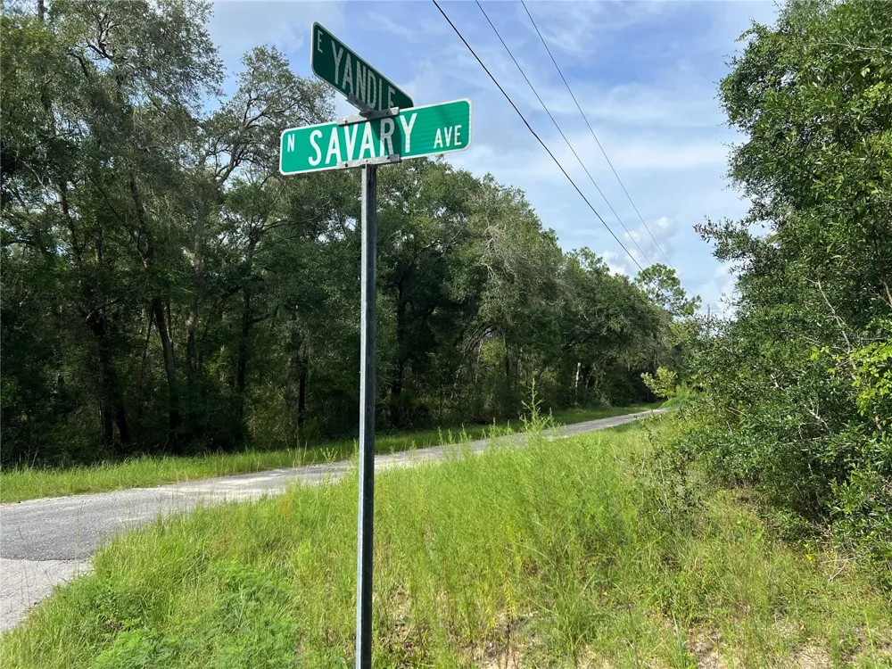 3677 E YANDLE PLACE Inverness, FL 34453