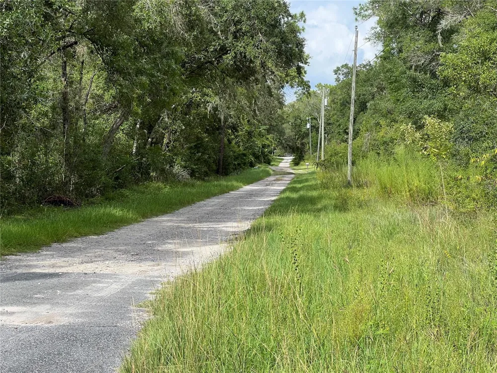 3677 E YANDLE PLACE Inverness, FL 34453