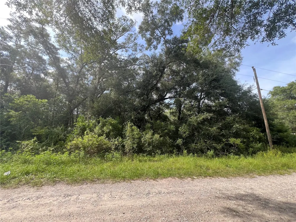 3677 E YANDLE PLACE Inverness, FL 34453