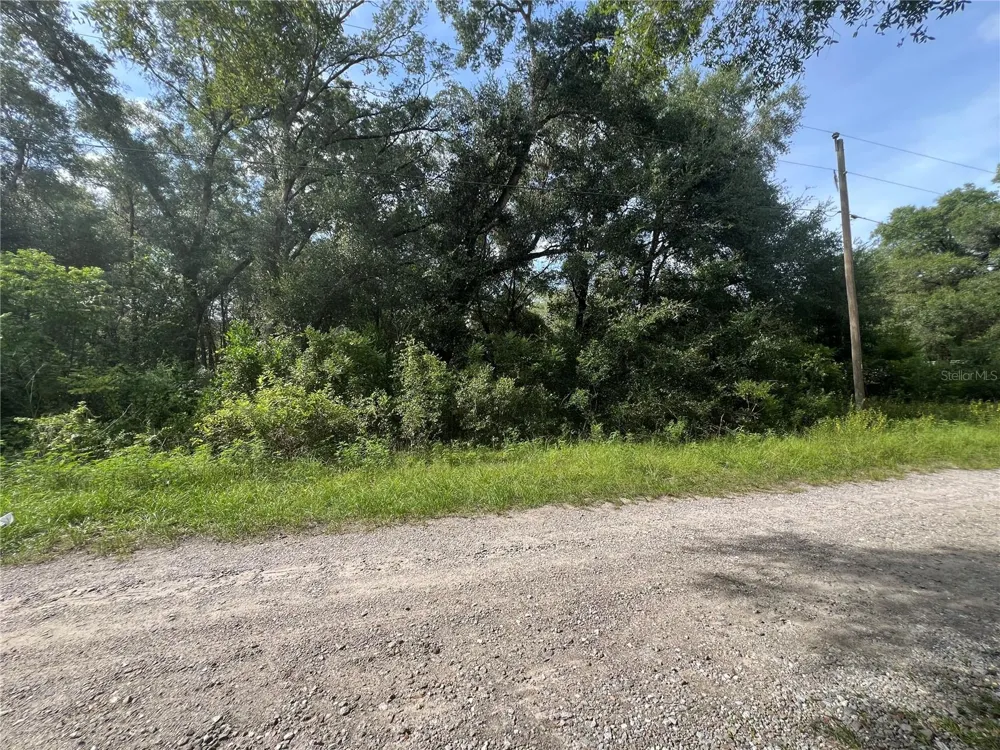 3677 E YANDLE PLACE Inverness, FL 34453