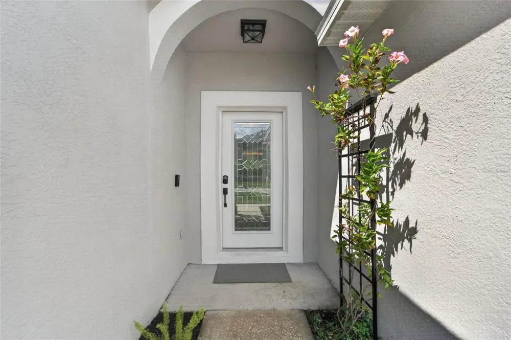 11313 VILLAGE BROOK DRIVE Riverview, FL 33579