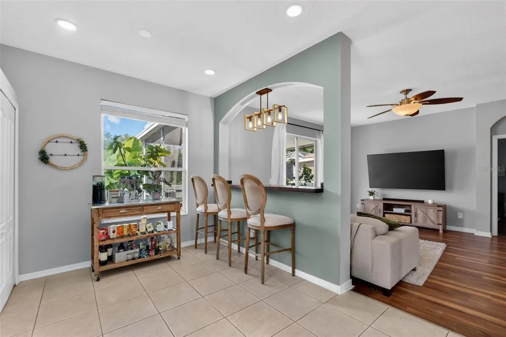 11313 VILLAGE BROOK DRIVE Riverview, FL 33579