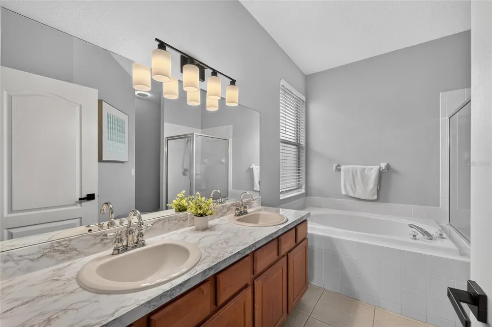 11313 VILLAGE BROOK DRIVE Riverview, FL 33579