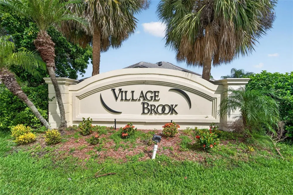 11313 VILLAGE BROOK DRIVE Riverview, FL 33579