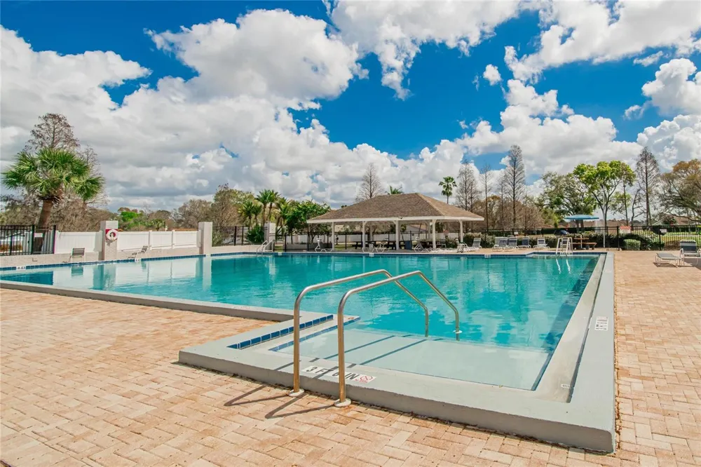11313 VILLAGE BROOK DRIVE Riverview, FL 33579
