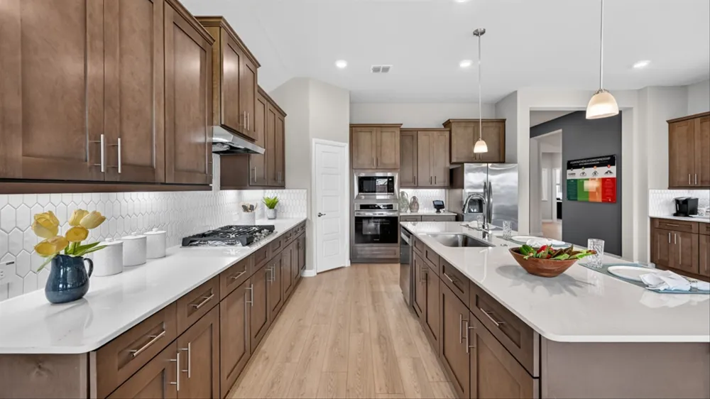 16820 KING SALMON DRIVE Justin, TX 76247