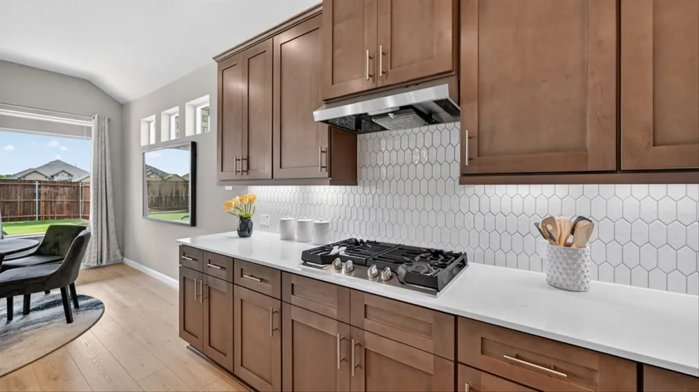 16820 KING SALMON DRIVE Justin, TX 76247
