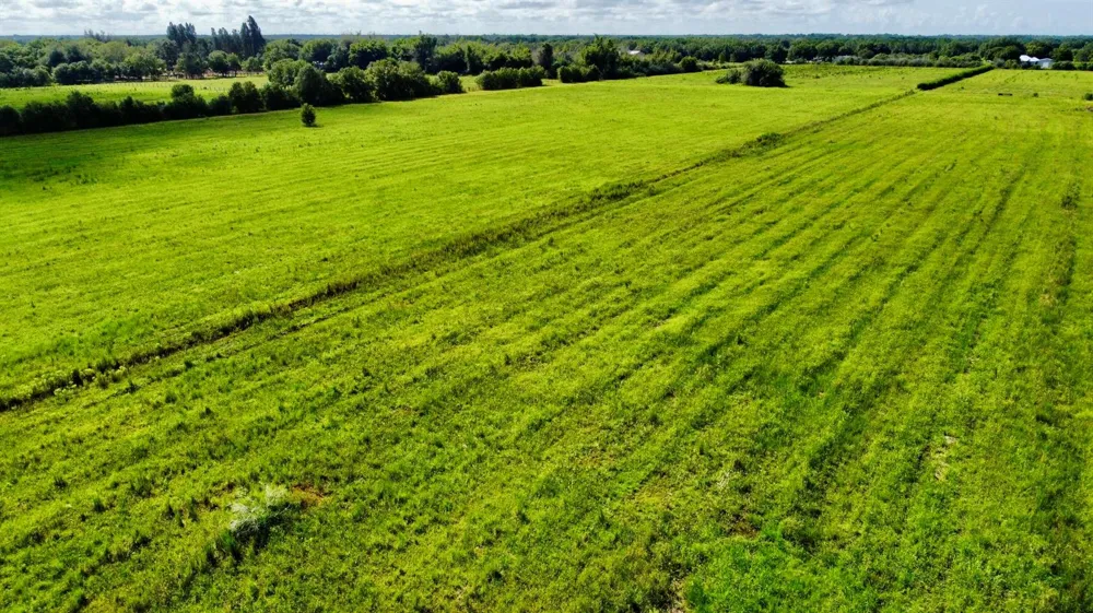 1934 NE 96th Ave. Road Okeechobee, FL 34974