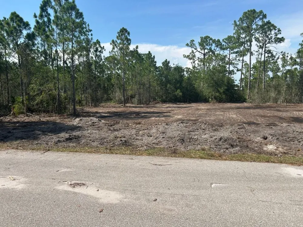 27292 CHULA VISTA DRIVE Punta Gorda, FL 33955