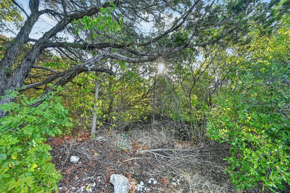 9604 Eagles Nest Court Rio Vista, TX 76093