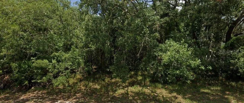 6387 PINEHURST DRIVE Spring Hill, FL 34606