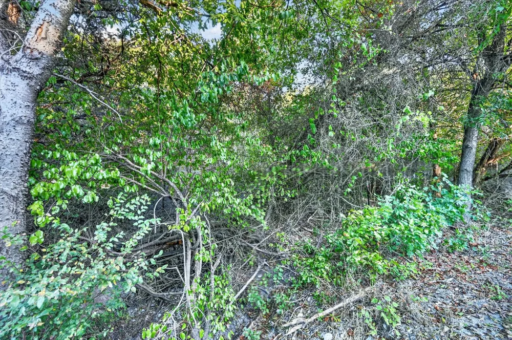 9600 Eagles Nest Court Rio Vista, TX 76093