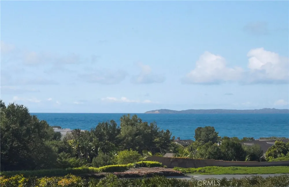 75 Palm Beach Court Dana Point, CA 92629