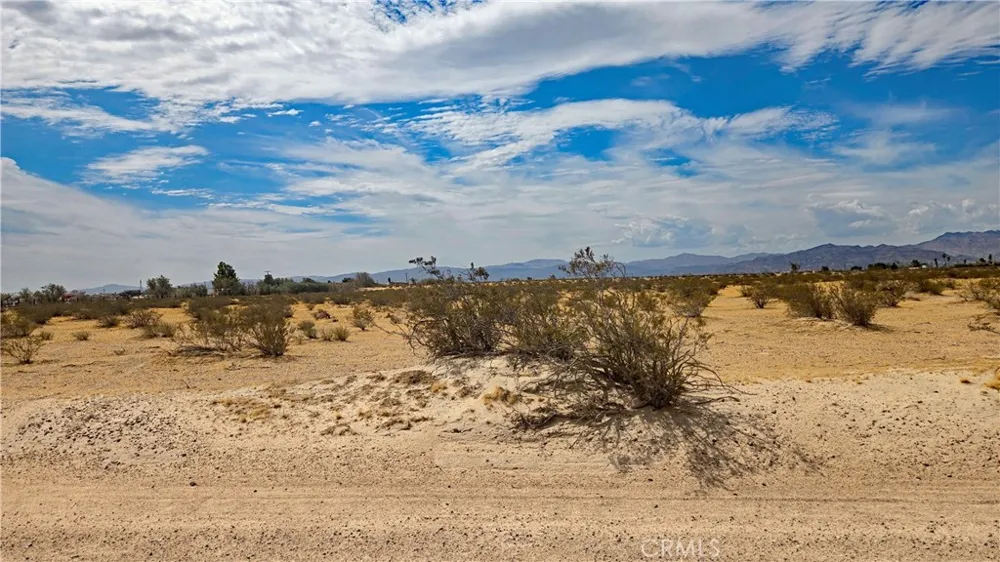 Riverside Road Newberry Springs, CA 92365
