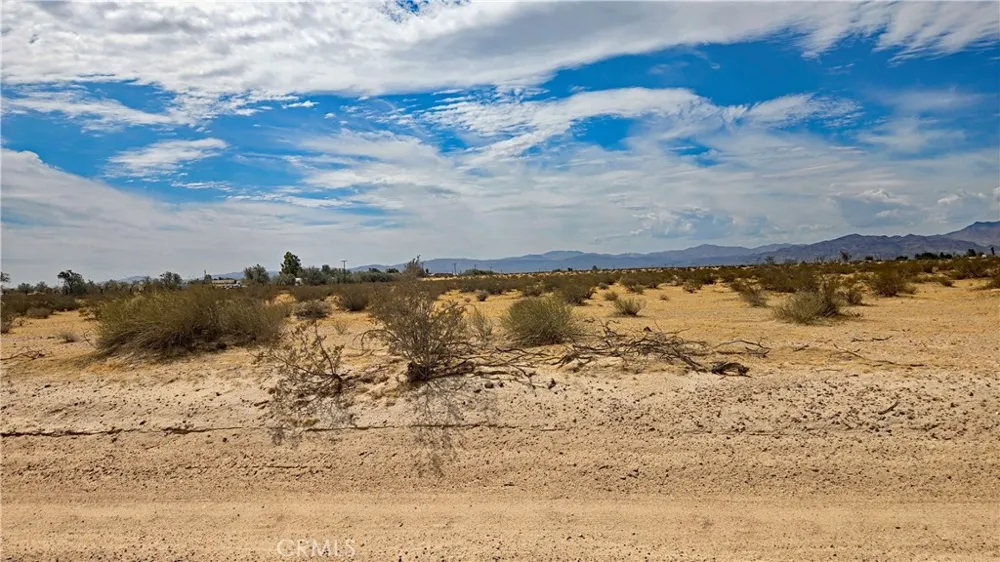 Riverside Road Newberry Springs, CA 92365