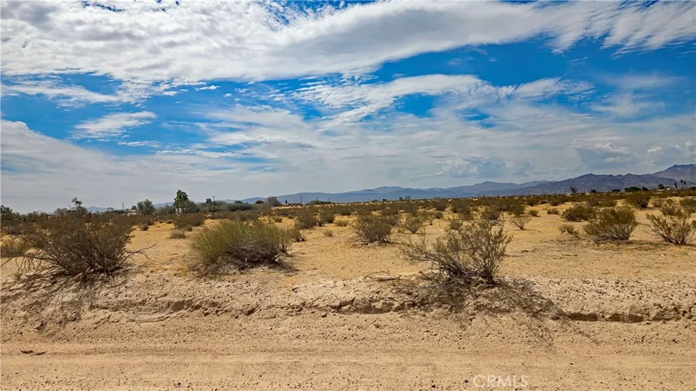 Riverside Road Newberry Springs, CA 92365