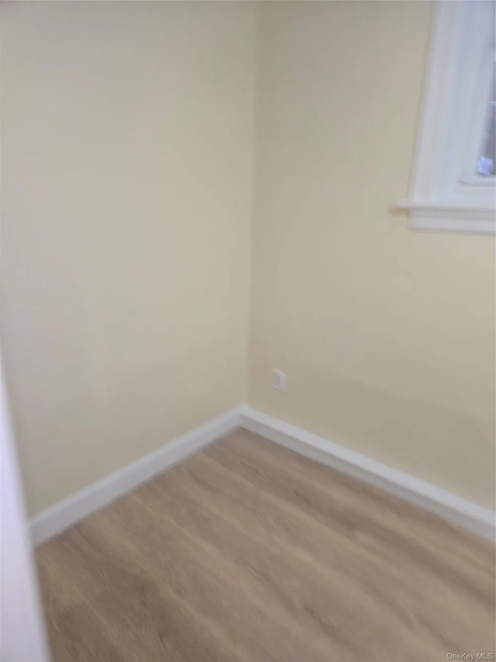 5801 Snyder Avenue #walk-out basement Brooklyn, NY 11203