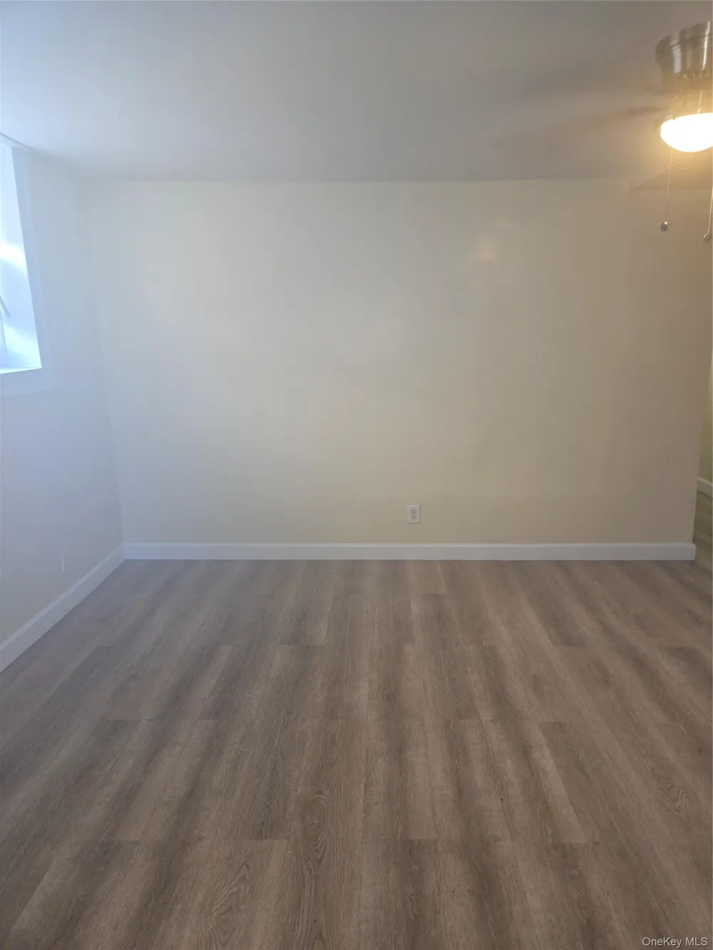 5801 Snyder Avenue #walk-out basement Brooklyn, NY 11203