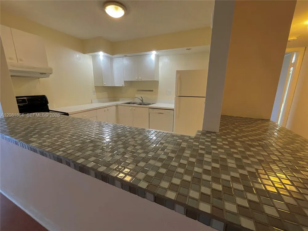 2101 Atlantic Shores Blvd #507 Hallandale Beach, FL 33009