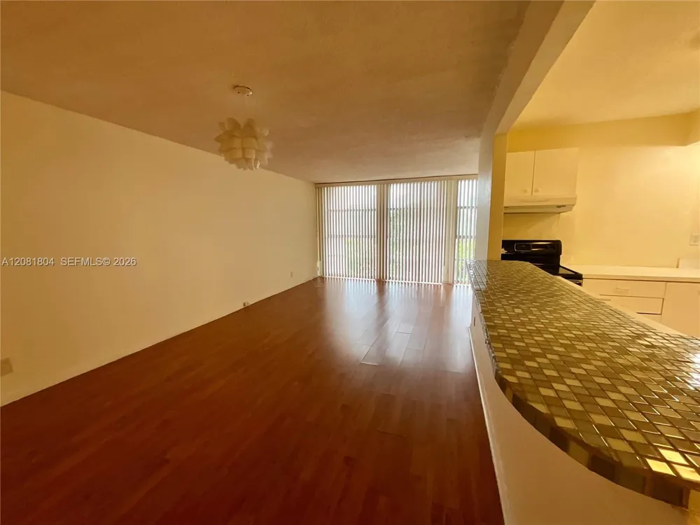 2101 Atlantic Shores Blvd #507 Hallandale Beach, FL 33009