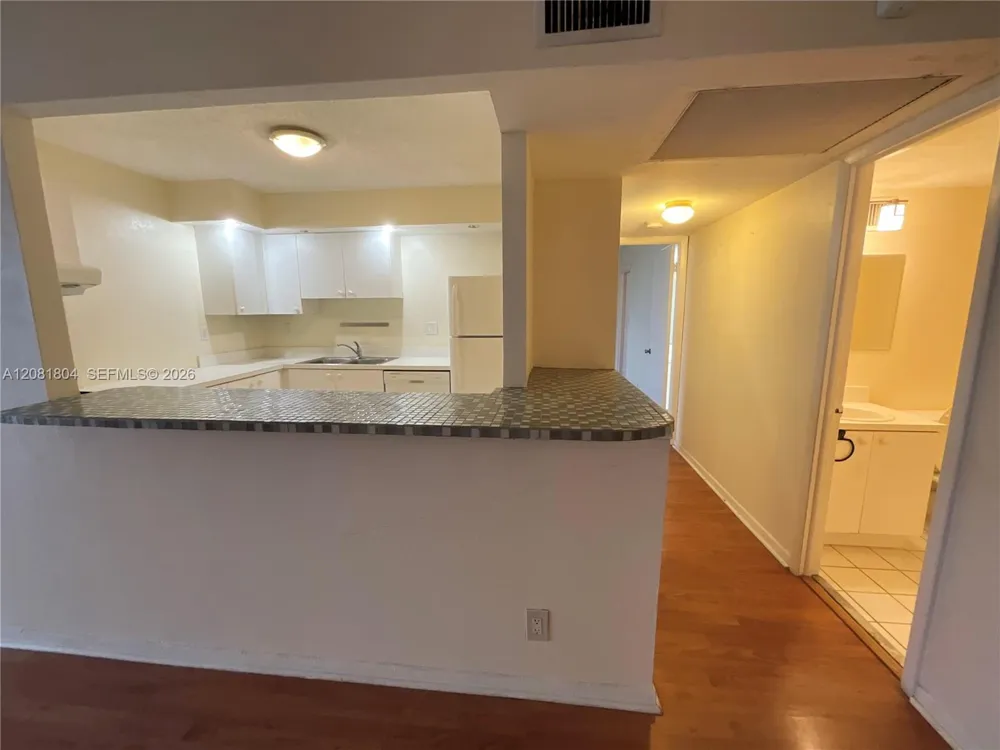 2101 Atlantic Shores Blvd #507 Hallandale Beach, FL 33009