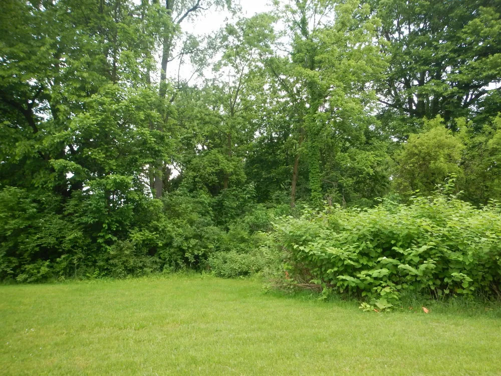 105 Hilltop Lane Cassopolis, MI 49031