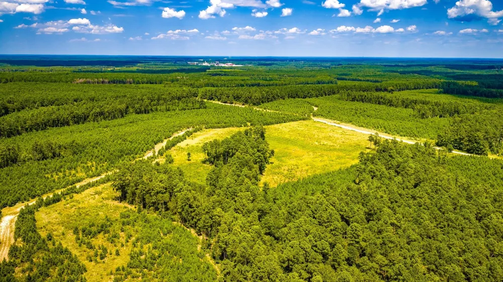 Hardin Hideout Moscow, TX 75960