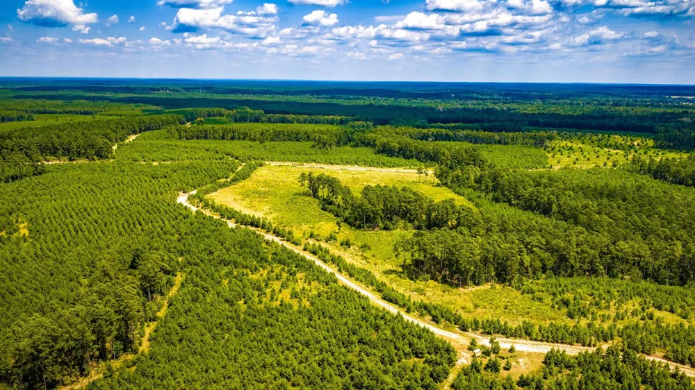 Hardin Hideout Moscow, TX 75960
