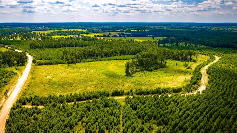 Hardin Hideout Moscow, TX 75960