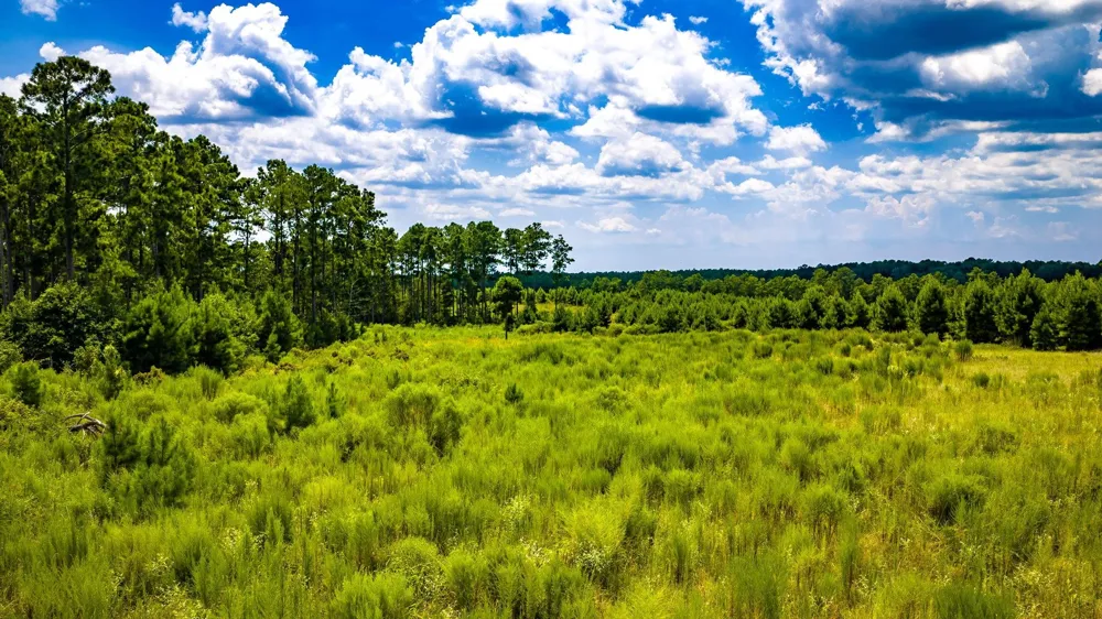 Hardin Hideout Moscow, TX 75960