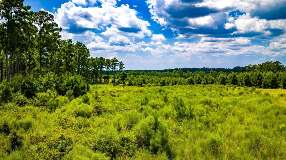 Hardin Hideout Moscow, TX 75960