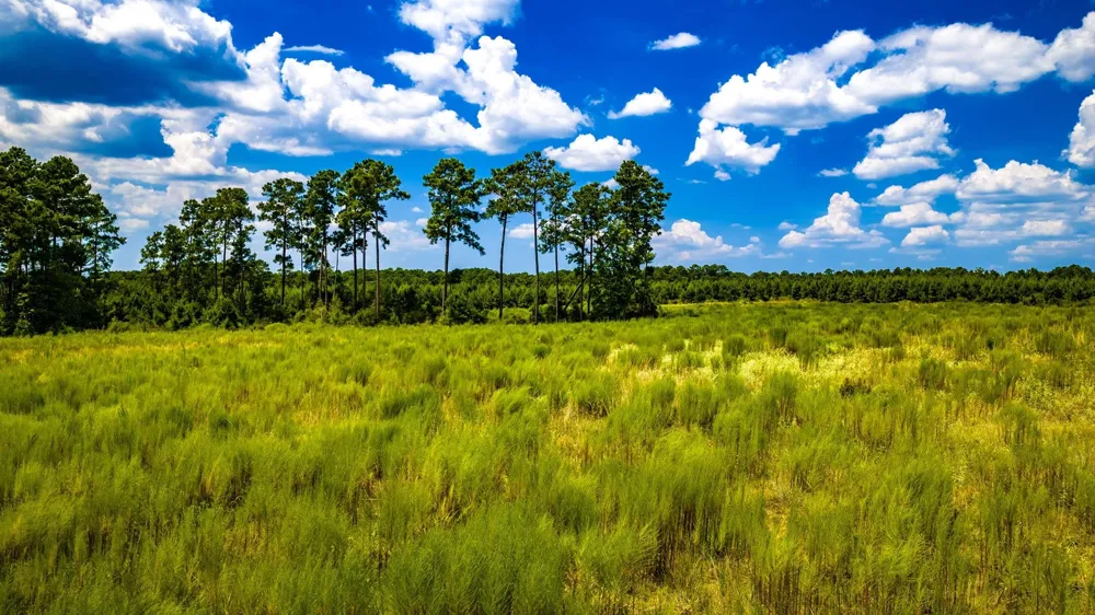 Hardin Hideout Moscow, TX 75960