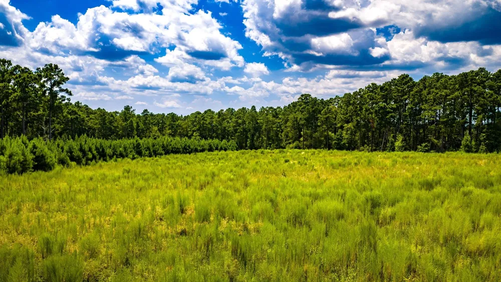 Hardin Hideout Moscow, TX 75960