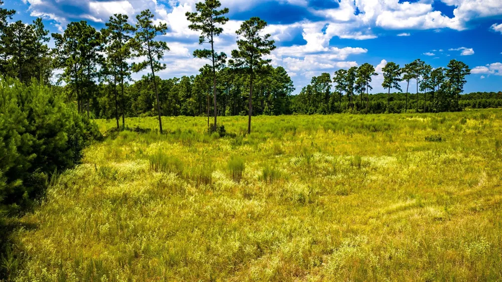 Hardin Hideout Moscow, TX 75960